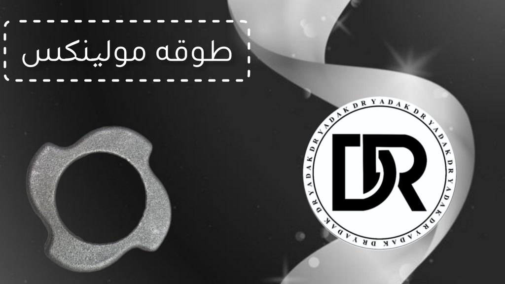 طوقه چرخ گوشت مولینکس