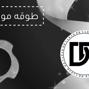 طوقه چرخ گوشت مولینکس