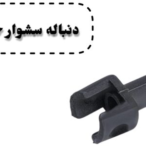 دنباله سشوار جانسون